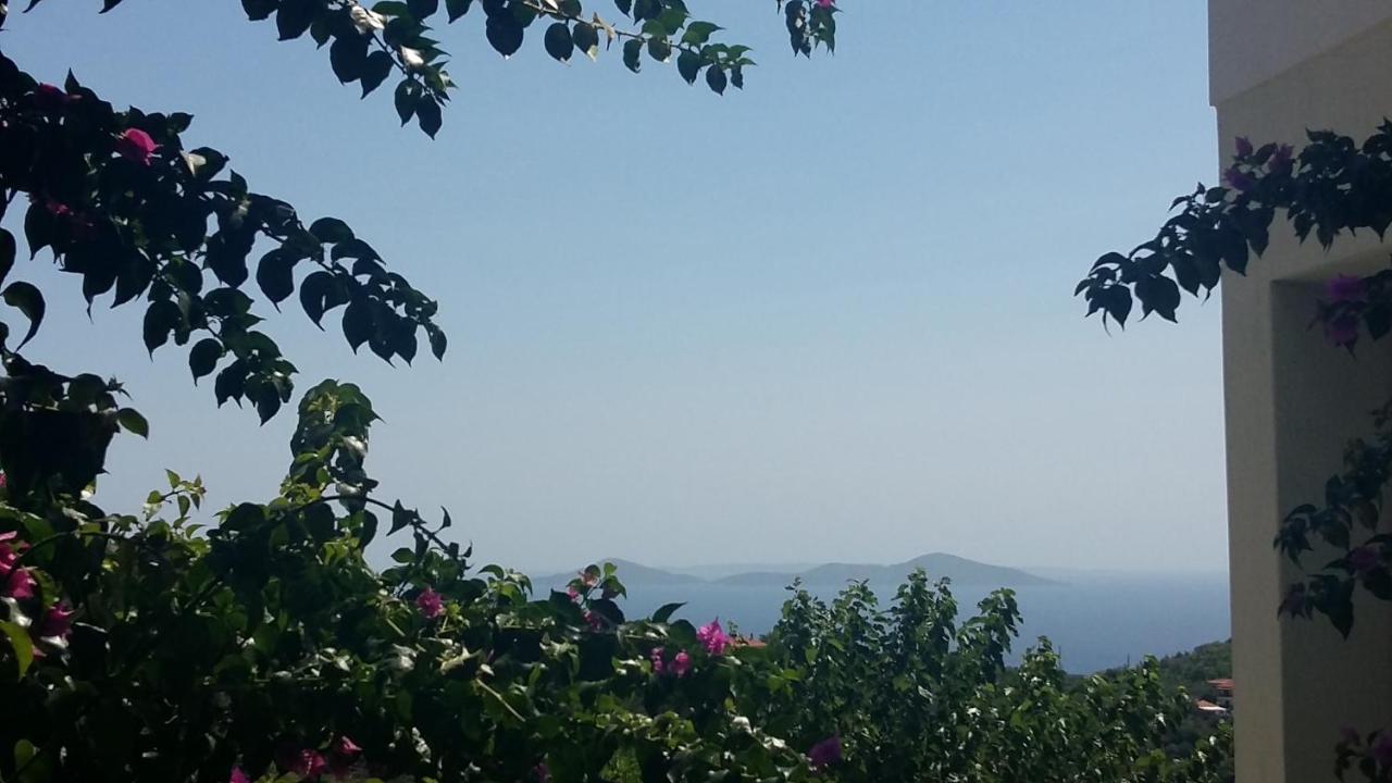 Old Village Kırlangıç Dış mekan fotoğraf