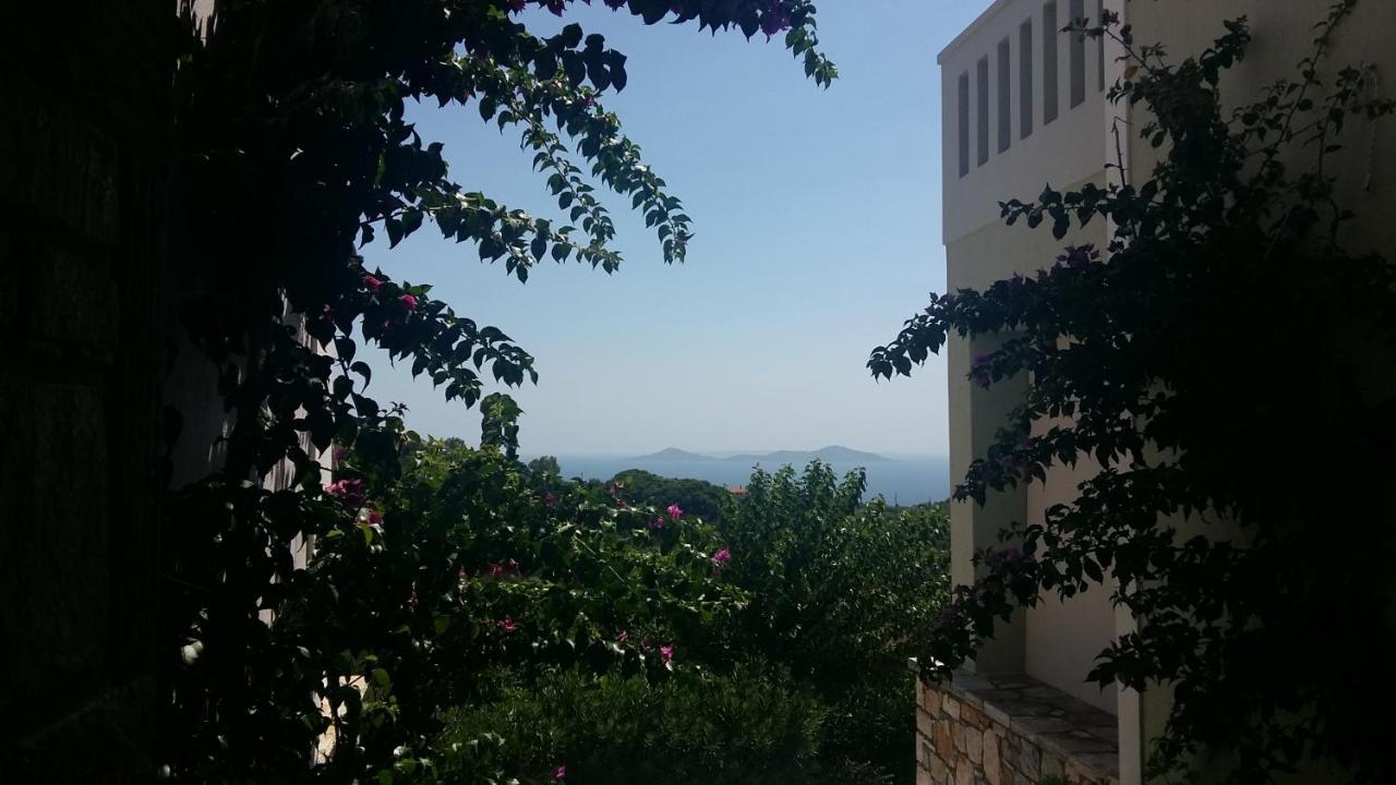 Old Village Kırlangıç Dış mekan fotoğraf